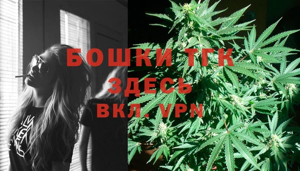 крисы Алексин