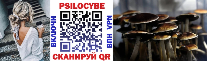 гидра ТОР  Десногорск  Галлюциногенные грибы Psilocybe 