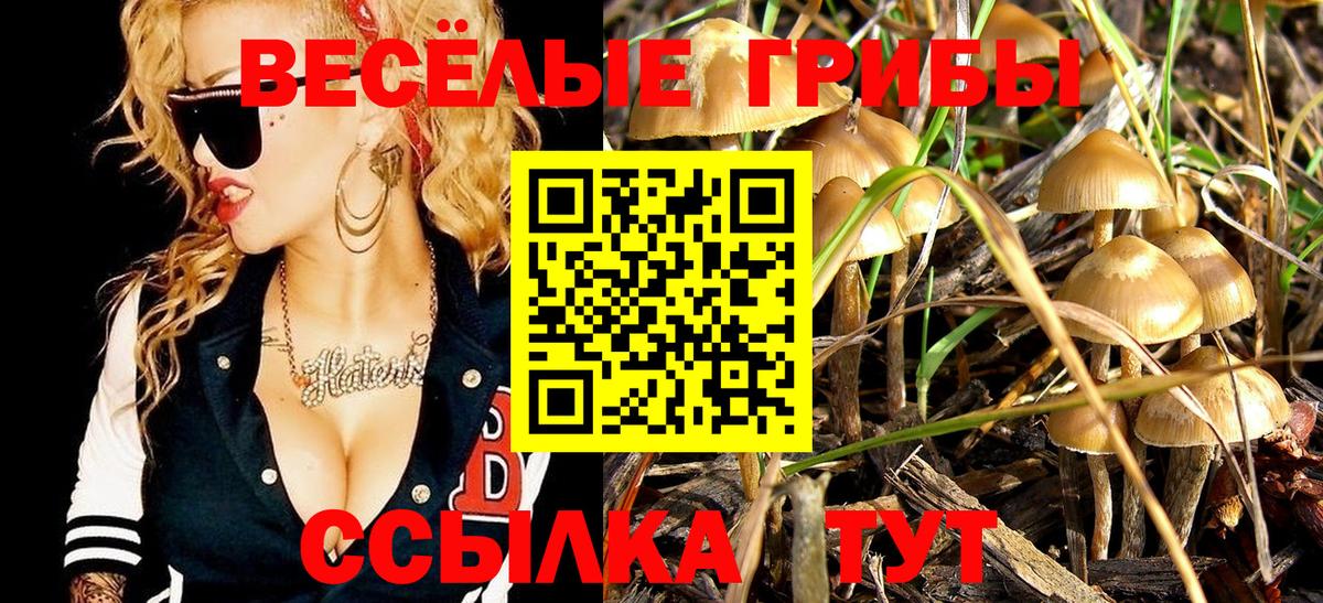 Псилоцибиновые грибы GOLDEN TEACHER Десногорск