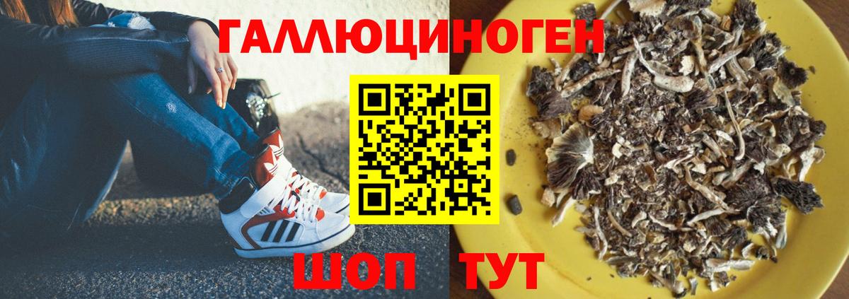 Псилоцибиновые грибы ЛСД  Галлюциногенные грибы мухоморы  Десногорск  Вход с VPN 